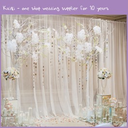 Ivory Wedding Voile Backdrop Wall Covering Draping